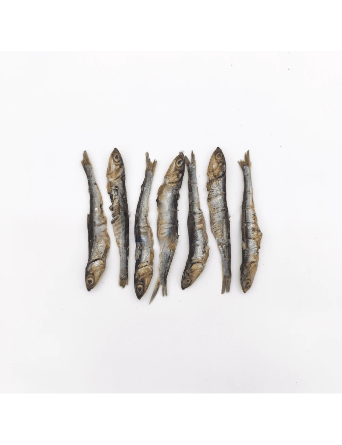 Boquerón Entero - Snack Natural - 5/10ud - El gato Barfi