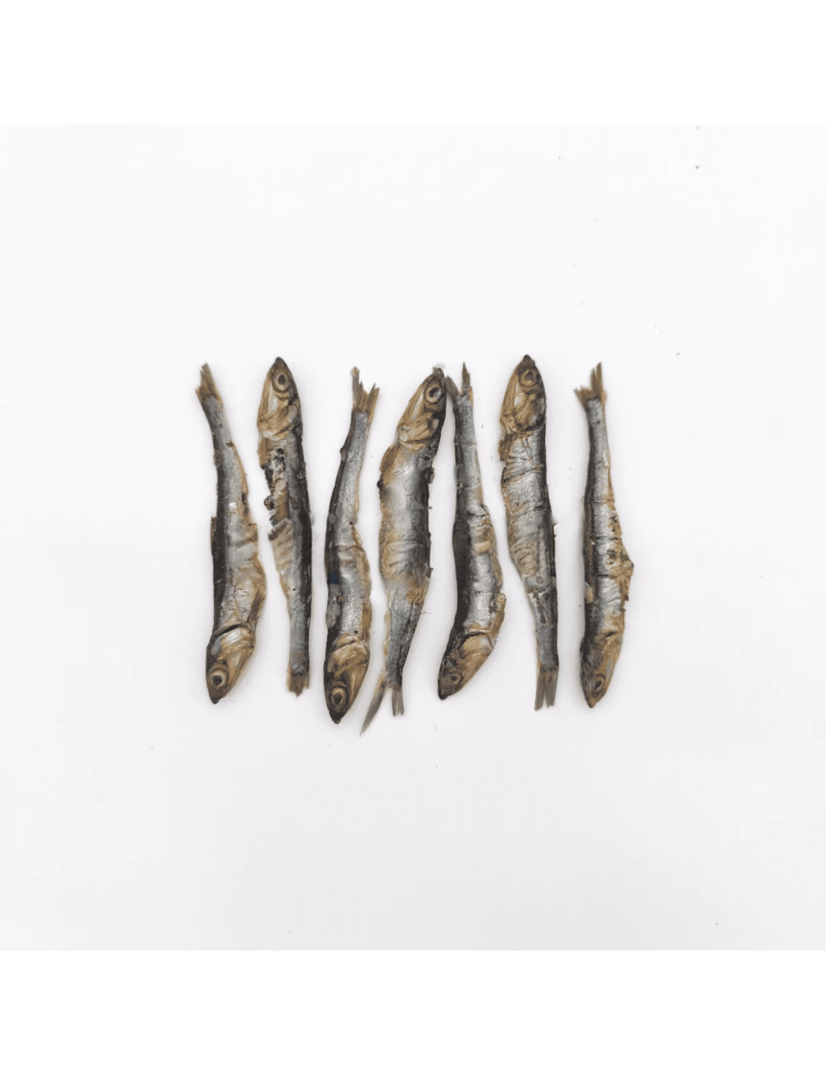 Boquerón Entero - Snack Natural - 5/10ud comida natural BARF para gatos | El Gato BARFI