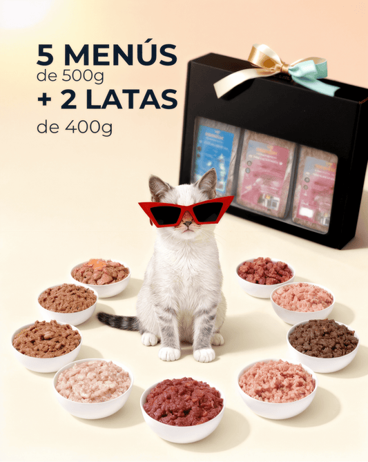 PACK DEGUSTACIÓN BARFI comida natural BARF para gatos | El Gato BARFI